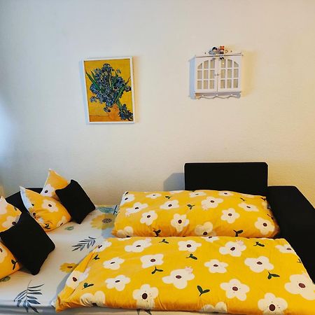 Ferienwohnung Schoene Wohnung 2D-Gebaeude Mit Mini-Garten Schönwald Exterior photo