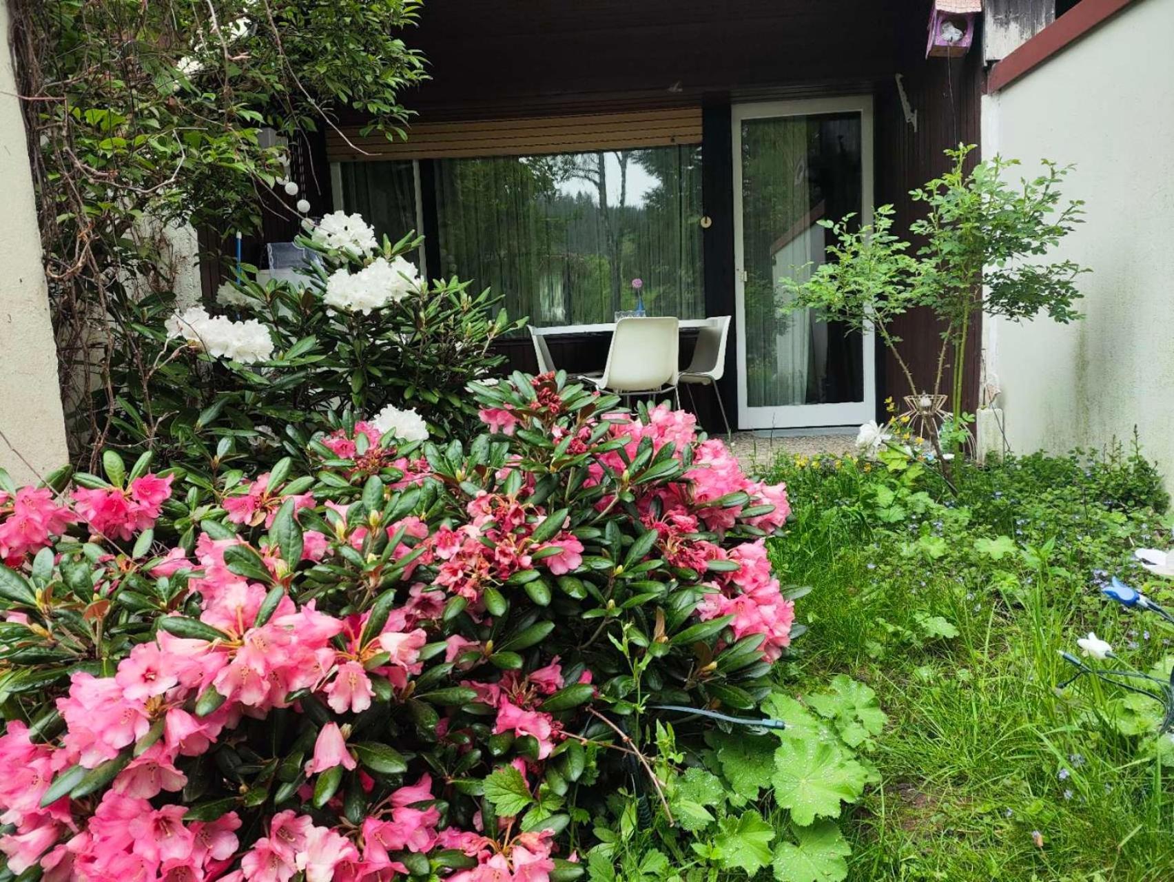 Ferienwohnung Schoene Wohnung 2D-Gebaeude Mit Mini-Garten Schönwald Exterior photo